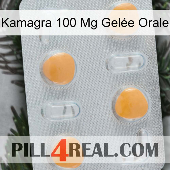 Kamagra 100 Mg Gelée Orale 24